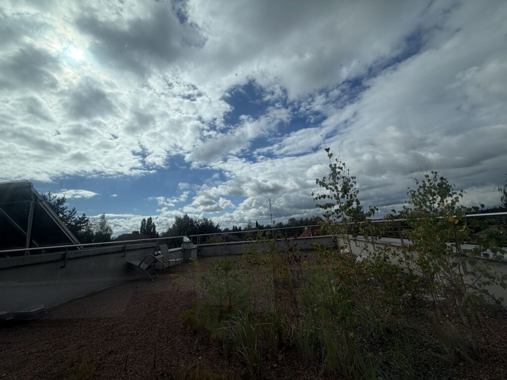 image00028